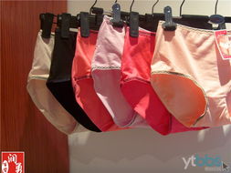 源头好货，一站购齐——厂家直销日用百货、针织品、服装批发零售